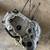 Ds650 engine cases 2006 bombardier 3 thumbnail