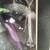 Masters of the Universe Revelation – Skelegod Action Figure 5 thumbnail