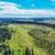 - Price Improvement - Remote and beautiful 80 acre parcel 3 thumbnail