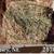 Online, Video, Hay Auctions every Wednesday 4 thumbnail