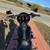 2016 Harley-Davidson Dyna Street Bob *House of Thunder H-D*😎 4 thumbnail