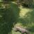 Xoloitzcuintle 2 thumbnail