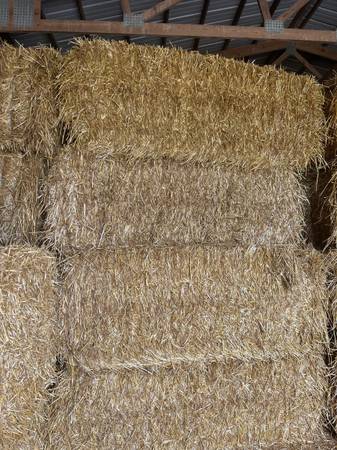 big square oat straw 1