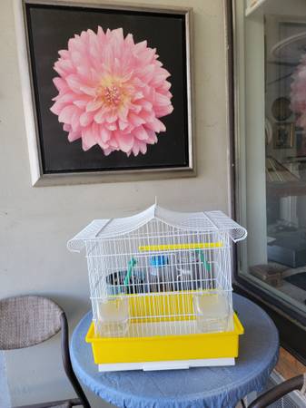 Small Bird Cages 1
