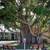 Perfect Location, Perfect Price – Secure Your Apartment Today! 4 thumbnail