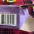 LEGO 3938 Friends Andrea's Bunny House 4 thumbnail