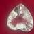 Swarovski Crystal Clear Crystal Heart 1996 SCS Renewal. 5 thumbnail