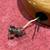 Electric Guitar New Superstrat by Don Steiner 20 thumbnail