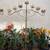 2 - 7 candle adjustable candelabra 5 thumbnail