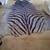 Zebra all leather rug 3 thumbnail