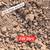 Rock Gravel Dirt Sand Crusher Fines 6 thumbnail