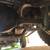 Jeep wrangker TJ 6 cyl 5 spd ZERO RUST ONLY 98K!! 2 thumbnail