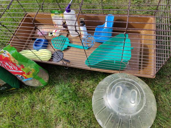 Guinea Pig/Small animal cage and accessories 1
