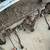 MGB MGB-GT REAR END + Other parts NEED it ALL GONE 1 thumbnail