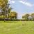 2 Side-by-Side Plots (Double-Depth) at Resthaven/Carr-Tenney Memorial 4 thumbnail