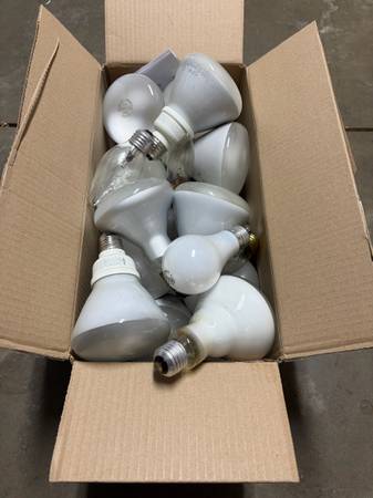 Light bulbs working 1