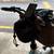 Lectric XP 3.0 E‑Bike — Excellent Condition + Upgrades 6 thumbnail