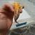 Radar leopard gecko 2 thumbnail