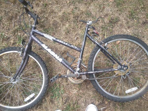 M a g n a bike 1