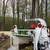 Tree Services 6 thumbnail
