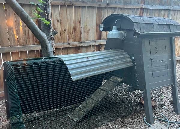 Super solid chicken coop and run + 3 hens 1