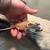 Bearded dragon 2 thumbnail