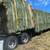 Colorado Orchard Grass Hay for sale 1 thumbnail