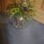 vase and plants 1 thumbnail