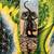New skateboard deck 2 thumbnail