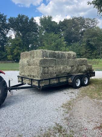 Square bales mix hay 1