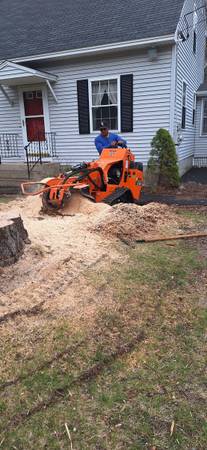 Tree services 1