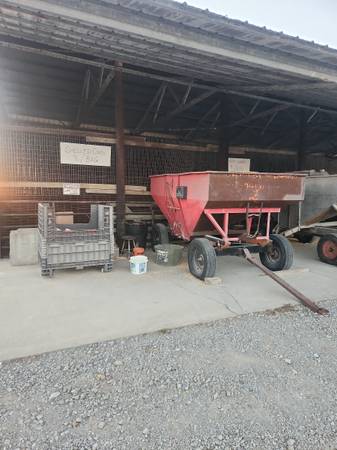 DEER CORN/ SHELLED CORN 1