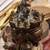 Old Bronze Buddha Hindu Bodhisattva Tibetan Nepal Vasudhara 7 thumbnail