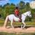 💚🐴 Wisp | Kid-Safe & Beginner-Safe Paso Fino Mare 2 thumbnail