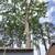 Kendrick's Tree & landscaping  llc 17 thumbnail