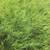 All Types of Hay for Sale - Delivery Available 4 thumbnail