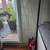 Corner trellis 1 thumbnail