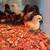 Young chicks 2 thumbnail