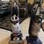 2 Bissell vacuum cleaners 5 thumbnail