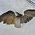 Large Vintage Cast Brass Eagle on stone Sculpture 4 thumbnail