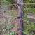 Elec. fence wire, posts, fittings from 5-acre horse pasture enclosu 3 thumbnail
