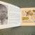 Nature Notes by Joseph Parrish (1970, Paperback) 2 thumbnail