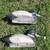 2 Vintage Duck Decoys 2 thumbnail