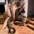 Sugar gliders , hedgehogs , snakes (boas / colubrids) 13 thumbnail