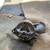 FORD THUNDERBIRD TRANSMISSION FROM A 429 AND OTHER PARTS 24 thumbnail