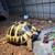 Hermanns Tortoise 4 thumbnail