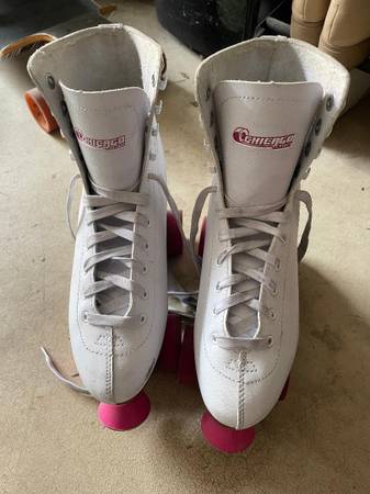 Chicago Roller Skate 1