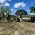Florida tree service  and Removal,CRP 1 thumbnail
