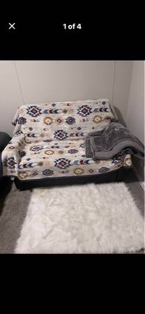 Pull out couch 1