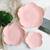 New Jusalpha Pink Cherry Blossom 3-Piece Dinnerware Plate set 2 thumbnail